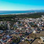 Geranios Amora